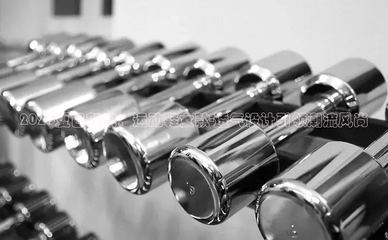 飞速体育直播